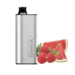 Swix Vape 9000 Puffs-10 Packs - Raspberry Watermelon