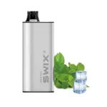 Swix Vape 9000 Puffs-10 Packs - Miami Mint