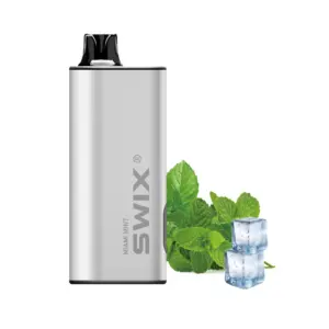 Swix Vape 9000 Puffs-10 Packs - Miami Mint