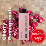 HQD Slick Pro - Cherry Pomegranate - 10,000